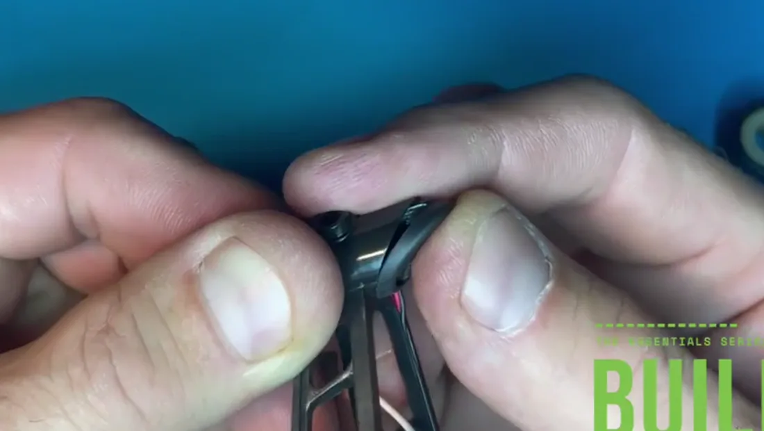 Chapter 8, step 5